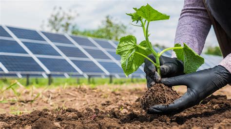 panneau solaire organique